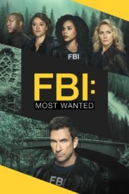 FBI Most Wanted เอฟบีไอ หน่วยล่าบัญชีทรชน